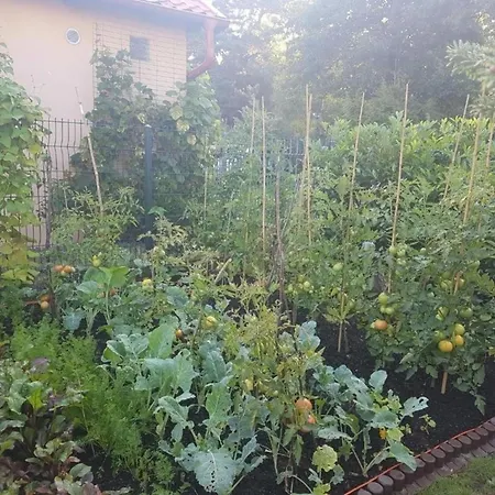 Gartenappartement An Der Polnischen Ostseekueste Zarnowska