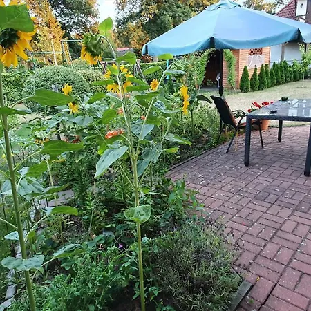 Gartenappartement An Der Polnischen Ostseekueste Сasa de vacaciones