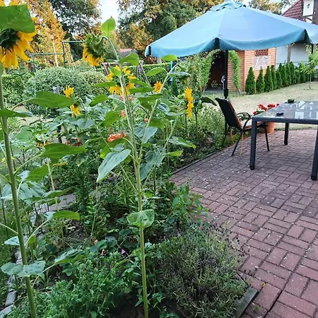 Gartenappartement An Der Polnischen Ostseekueste Holiday home