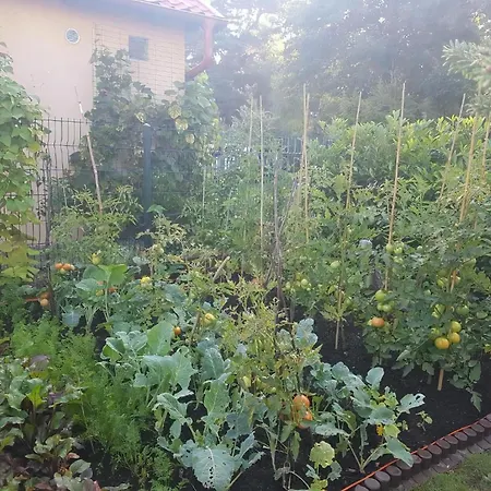 Gartenappartement An Der Polnischen Ostseekueste Сasa de vacaciones
